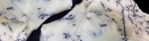 Dendritic Opal