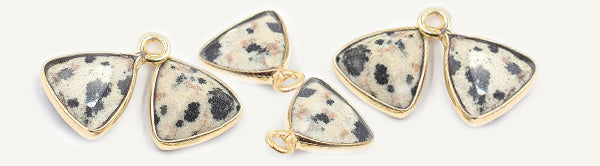 Dalmatin Jasper