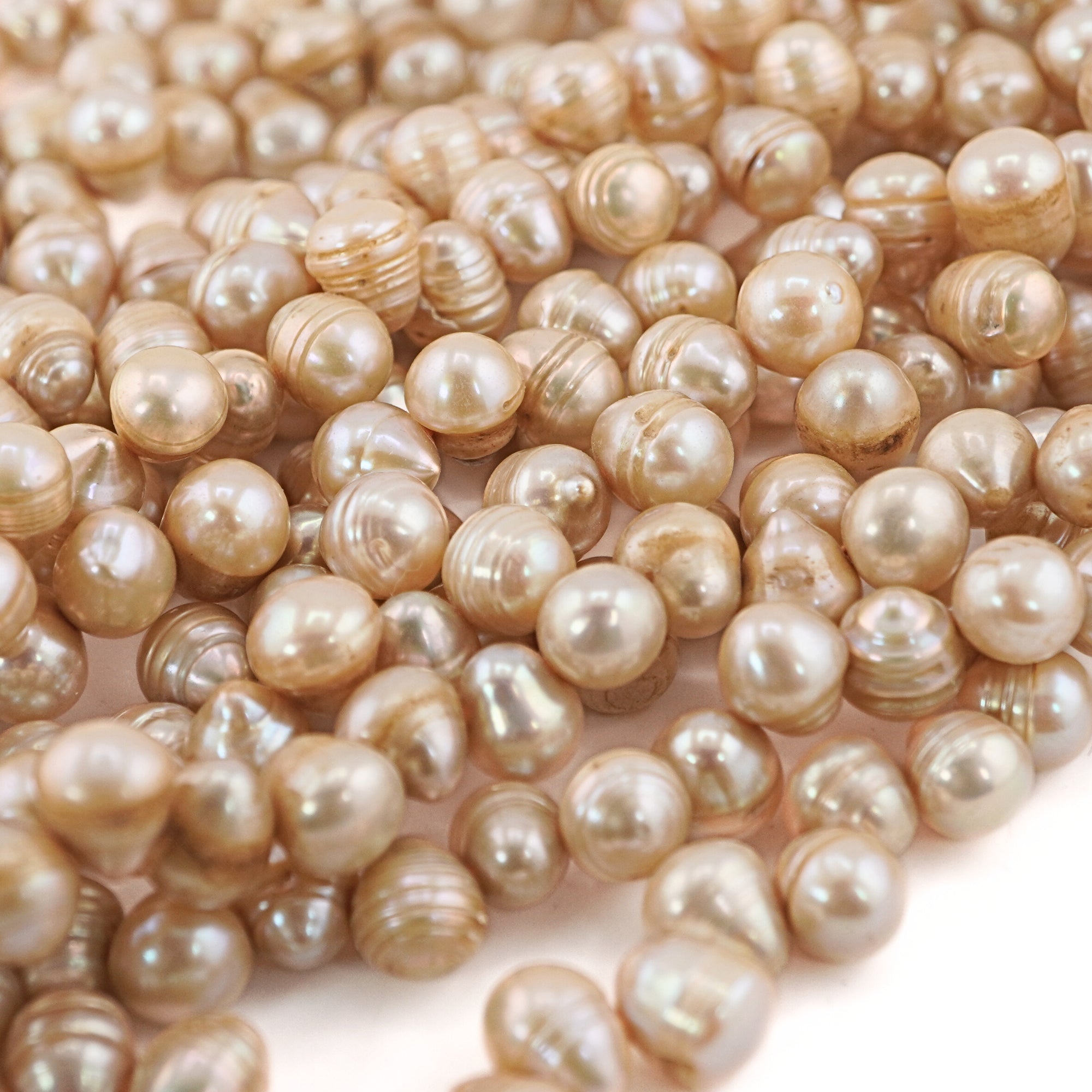 9 x 7 - 8 x 7 MM Golden Oval Freshwater Pearls Beads