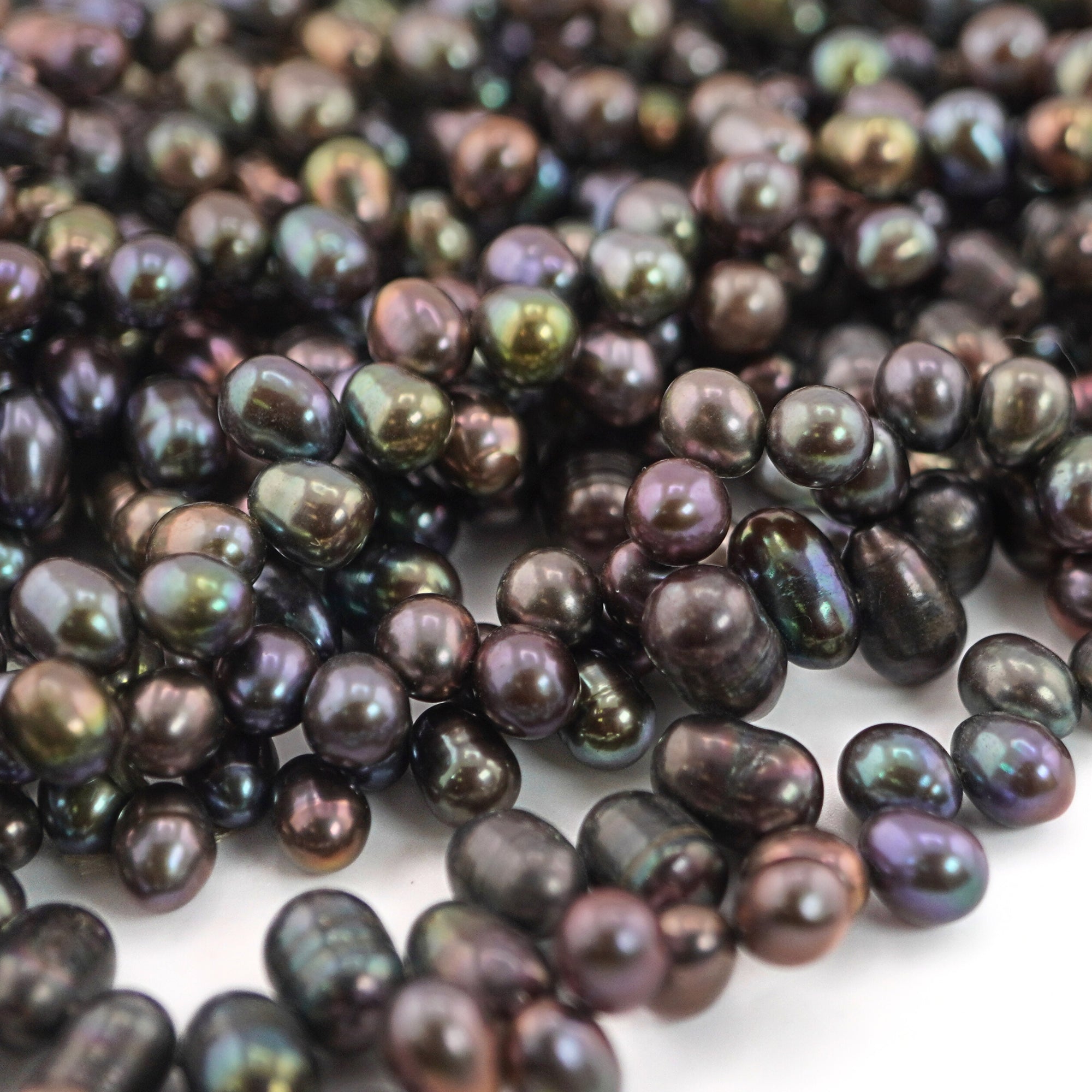 Freshwater Pearls in Peacock Color

