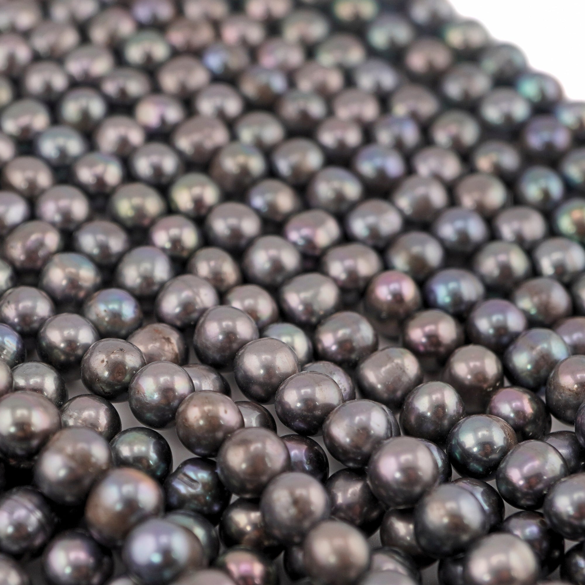 Peacock Color Freshwater Pearls

