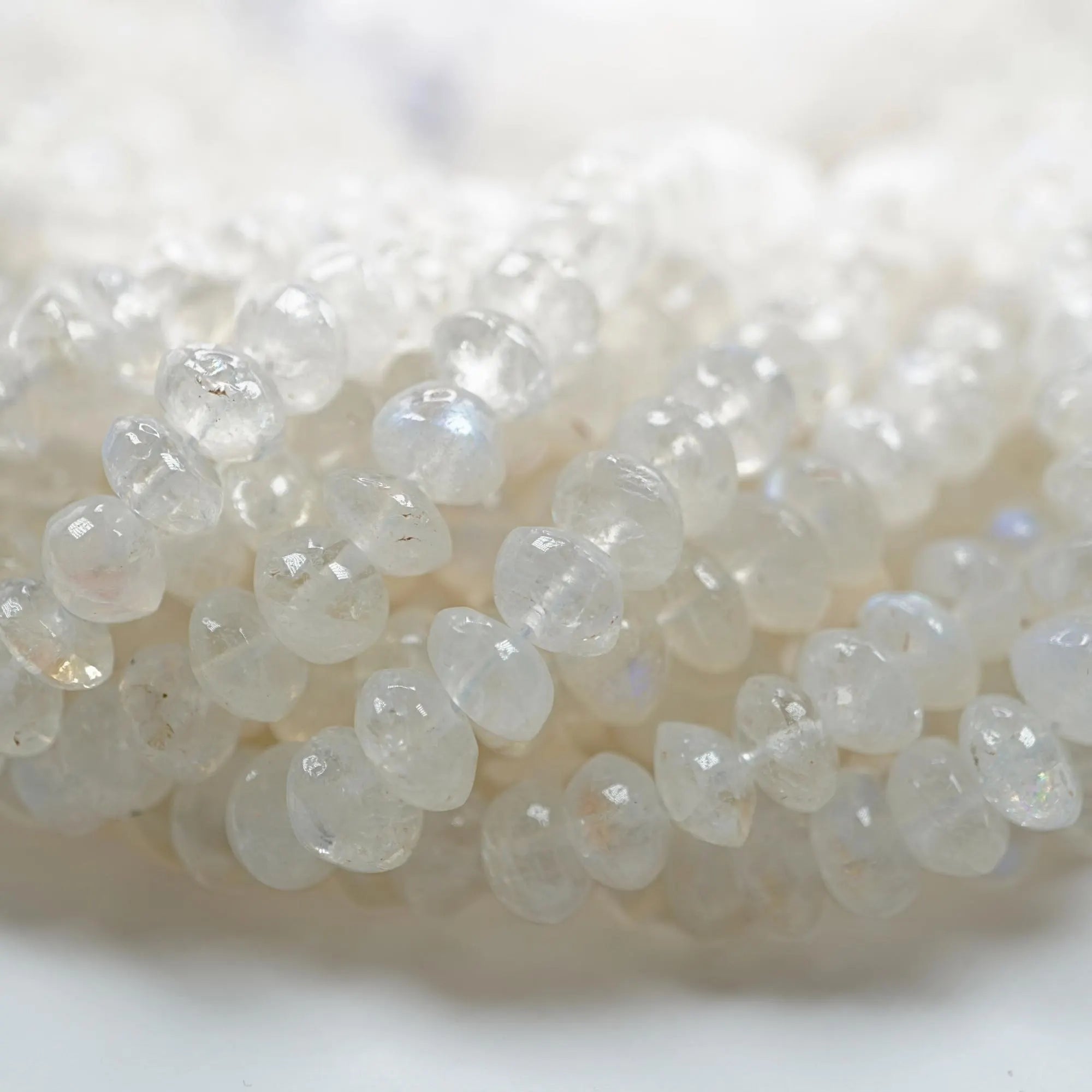  Rainbow Moonstone Smooth Saucer Shape Strand Beads