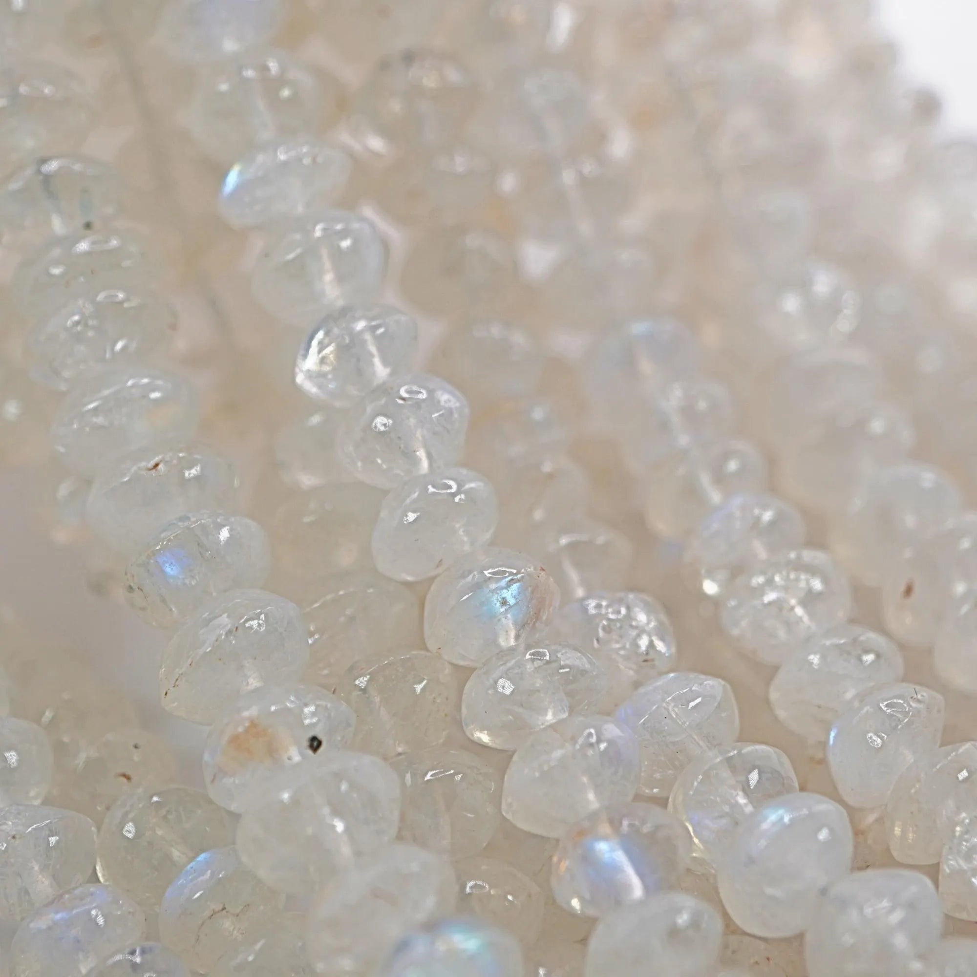  Rainbow Moonstone Smooth Saucer Shape Strand Beads